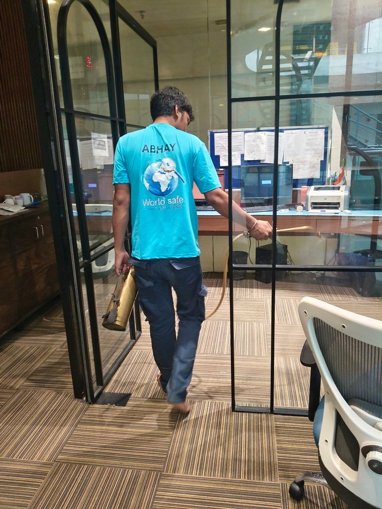 Pest Control in Ram Mandir 37213
