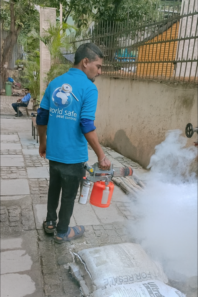 Pest Control in Dahisar 46472