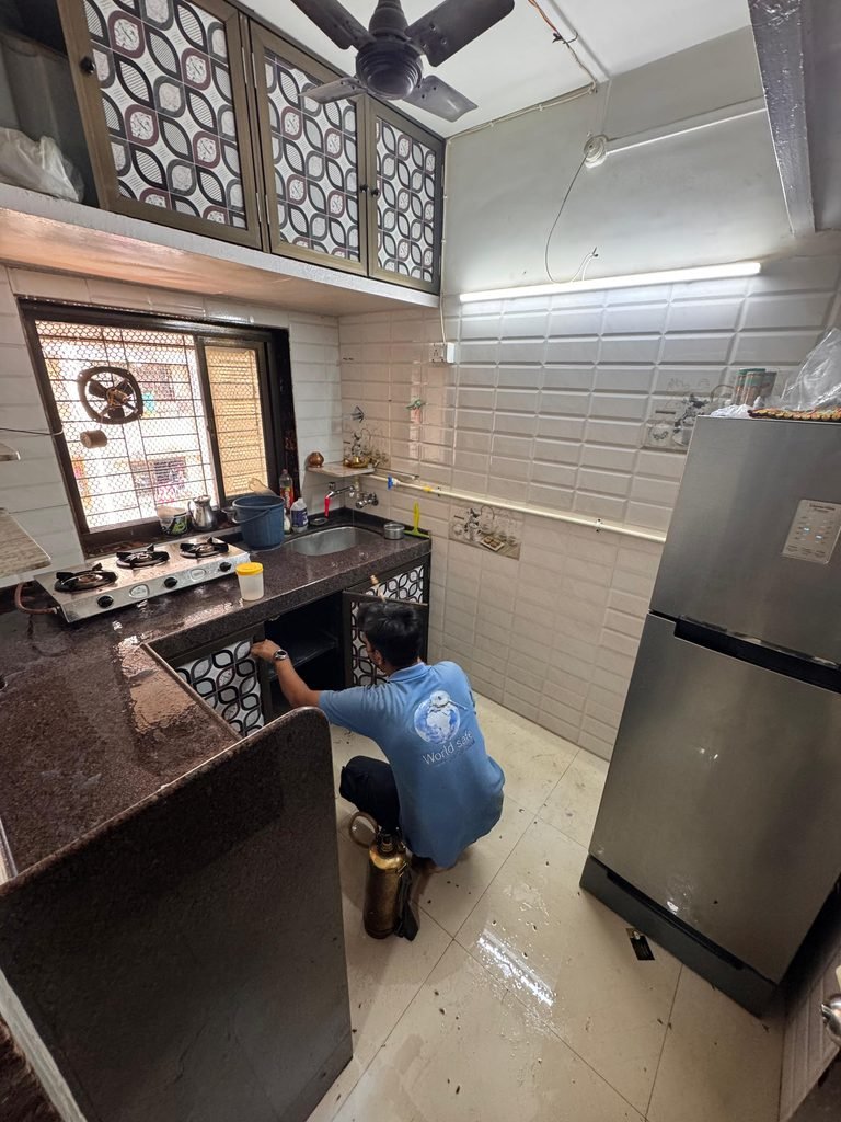 Pest Control in Andheri 46490